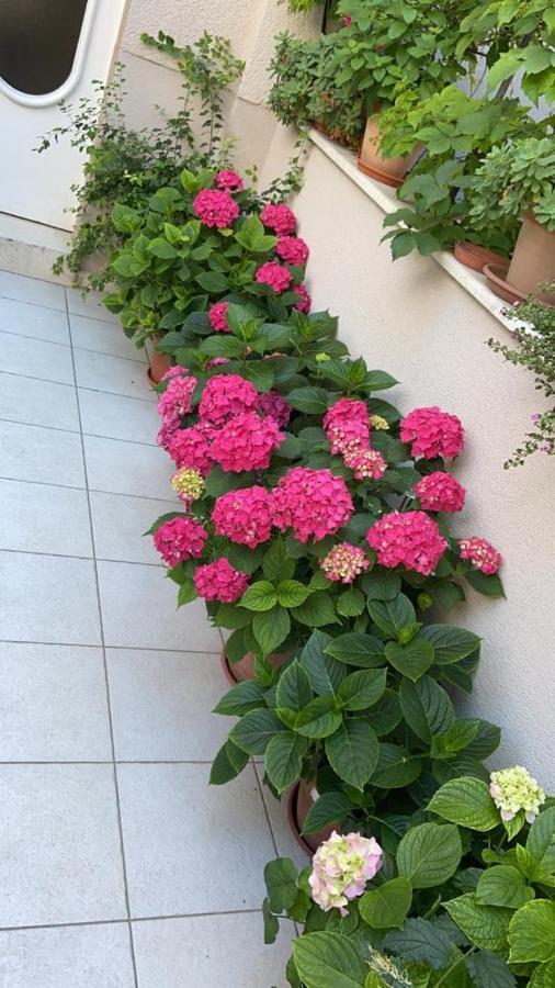Apartment Pearl Of سبليت المظهر الخارجي الصورة
